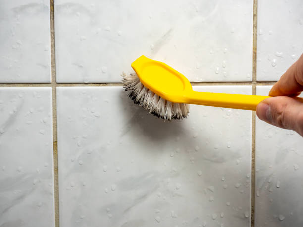 Best Post-Flood Mold Remediation in White Bluff, TN